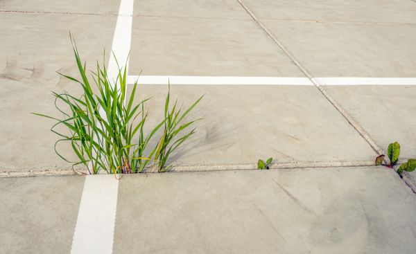 Concrete Parking Installation in Apple Valley